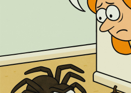 spiders and chestnuts